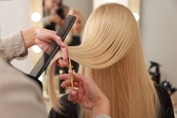 hairdresser cutting client's hair with scissors in salon, closeup