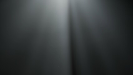 Wall Mural - soft diffused rays of light cut through the hazy darkness.