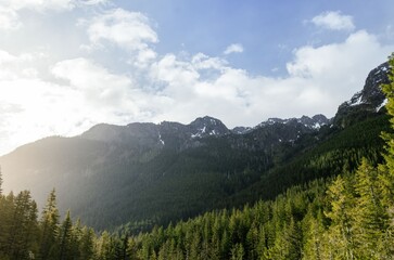 Landscape of beautiful nature, trees, river, branches with sky, clouds and sunlight _ Mountain and tree landscape outside 