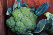 © Andrew Kornylak - Closeup of a large head of broccoli in a wooden container