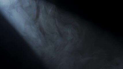 Wall Mural - soft diffused rays of light cut through the hazy darkness.