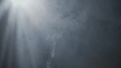 Wall Mural - soft diffused rays of light cut through the hazy darkness.