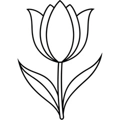 Wall Mural - Color Tulip Flower Line Art Silhouette.
