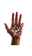 Wall Mural - hand shows a network isolated with white highlights, png