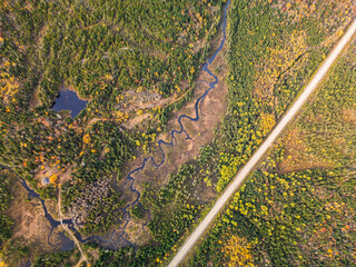 Wall Mural - canadian autumn, aerial view of colourful forest in quebec