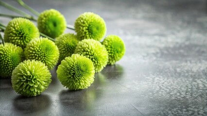 Fluffy soft green decorative flowers on a gray metal table Forced Perspective