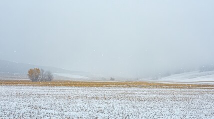 Wall Mural - Snow gently falling on an open field, with distant mountains barely visible through the mist