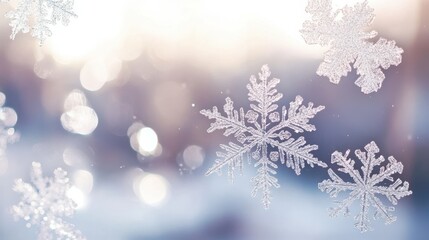 Wall Mural - A close-up of snowflakes on a window pane, with soft natural light shining through