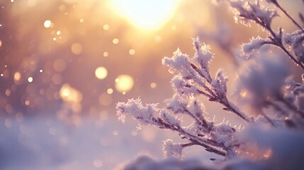 Wall Mural - A close-up of snowflakes on a tree branch, with the soft light of dawn in the background