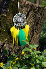 Wall Mural - Handmade dream catcher with feathers threads and beads rope hanging