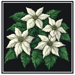 Wall Mural - White Poinsettia Bouquet.