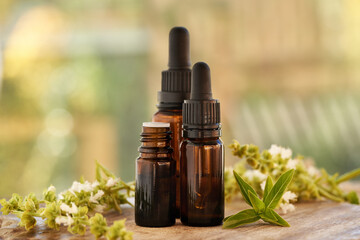 Wall Mural - Three bottles of aromatherapy essential oil with fresh basil leaves and flowers on a table