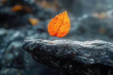 Wall Mural - a solitary leaf falling from a tree, representing change and the passage of time. concept of minimal