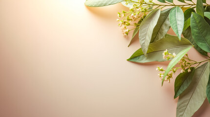 Wall Mural - Lush green leaves and tiny delicate white flowers are beautifully placed on a soft pink surface, illuminated by warm afternoon light, creating an inviting atmosphere