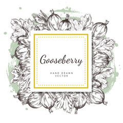 Wall Mural - A hand-drawn vector frame with gooseberry berries and an empty space for text