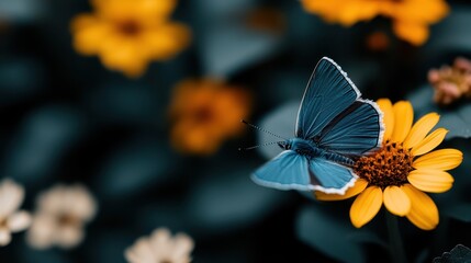 A stunning blue butterfly resting on a vibrant yellow flower amidst a lush, tranquil garden, highlighting the harmony and delicate balance in nature's beauty.