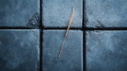 A lone straw rests on a structured pattern of gray tiled pavement, capturing the simplicity and minimalism of everyday objects in an urban setting.