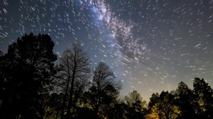 Wall Mural - long exposure of a starry night sky with golden clouds floating over a forest with the trees appeari