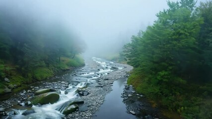 Wall Mural - water is rushing over rocks in a river flowing through a foggy forest, creating a mesmerizing scene 