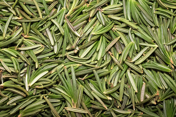 Wall Mural - a pile Rosemary plant texture background