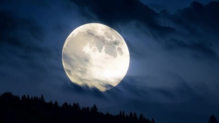 Wall Mural - Bright full moon is illuminating the night sky, casting an eerie glow over the silhouetted trees below and creating a dramatic contrast