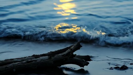 Wall Mural - Driftwood lies on the beach as waves crash in the background and the sun sets over the horizon, casting an ethereal glow on the scene