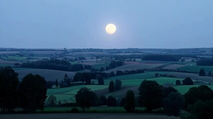 Wall Mural - Bright full moon illuminating a serene countryside landscape with rolling hills, fields, and tall trees silhouetted against the night sky
