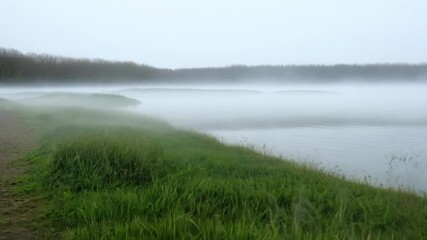 Wall Mural - tranquil morning with misty fog enveloping the river and lush green grass thriving along the serene 