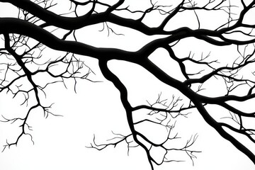 Wall Mural - The silhouette of oak tree branches on white background is a realistic portrayal (modern illustration).