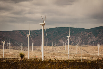 Wind turbines in a field