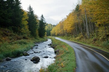 Canvas Print - a river running through a lush green forest