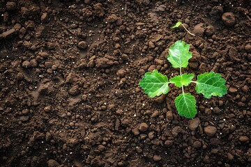 Closeup image of soil texture background