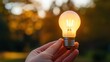 © เลิศลักษณ์ ทิพชัย - A close-up of a person hand holding an energy-efficient LED light bulb, with the warm glow of light symbolizing sustainable energy use.
