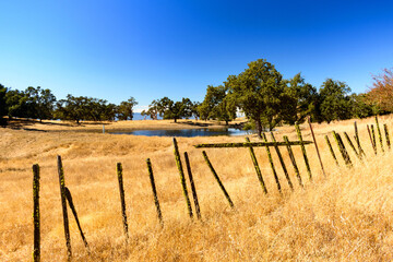 An old wooden fence runs through a golden grass field in Joseph D. Grant County Park, with a small pond and trees in the distance under a clear blue sky