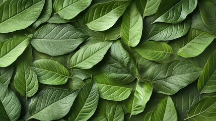 ecological background with green leaves arranged in a harmonious pattern emphasizing sustainable and