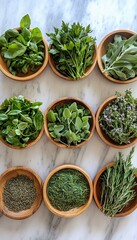 Wall Mural - An assortment of fresh herbs, including basil, parsley, oregano, thyme, rosemary, dill, and marjoram, in wooden bowls on a marble surface.