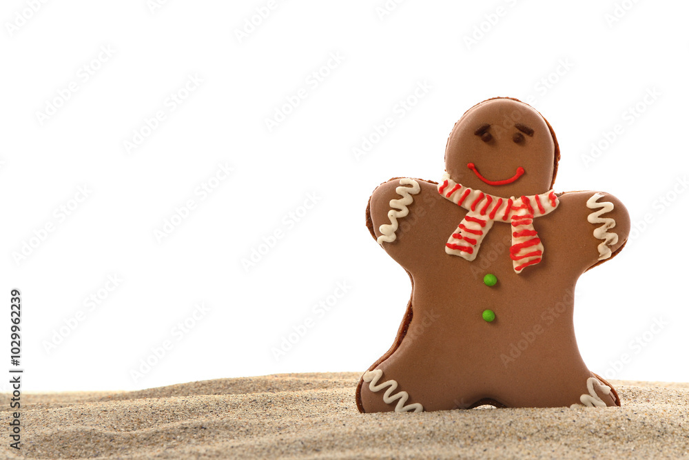 Tasty gingerbread cookie on sand against white background