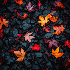 Canvas Print - Fall Leaves Isolated On Ground