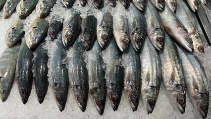 Fresh Fish for sale in the seafood market.Fresh fish for sale in a butcher shop.Fish meat on the stall. selling fresh fish in traditional market. traditional butcher stall.