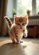 © Reymond - Playful kitten jumping on carpet, sunny living room, cute ginger cat, energetic indoor moment
