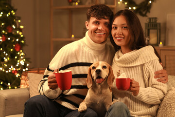 Wall Mural - Happy young couple with cute Beagle dog and hot chocolate at home on Christmas eve