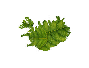 iceland map made of green leaves on white background ecology concept