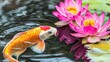 © Phichaphat - Koi Fish and Water Lily