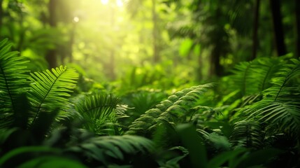 Wall Mural - Lush Green Jungle with Sunlight Filtering Through Leaves