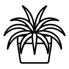 Spider plant icon. Vector line icon