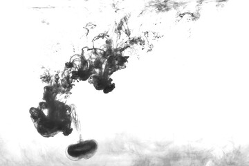 Wall Mural - Black color-ink dye melt on white background,Abstract smoke pattern,Colored liquid dye,Splash paint