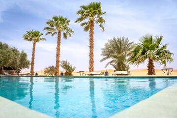 Desert oasis with a clear blue swimming pool.