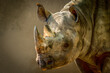 © Ralph Lear - portrait of a rhino on a brown background