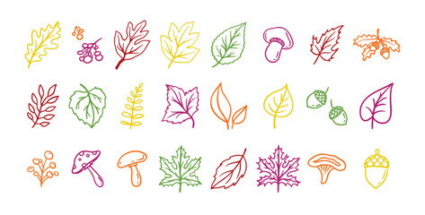 Wall Mural - Autumn leaves outline doodle set. Botanical fall contour stickers. Vector leaf clipart drawings 