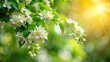 © anu - image of jasmine flowers on a tree with a natural bokeh background